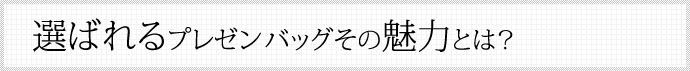 選ばれるプレゼンバッグ® その魅力とは？